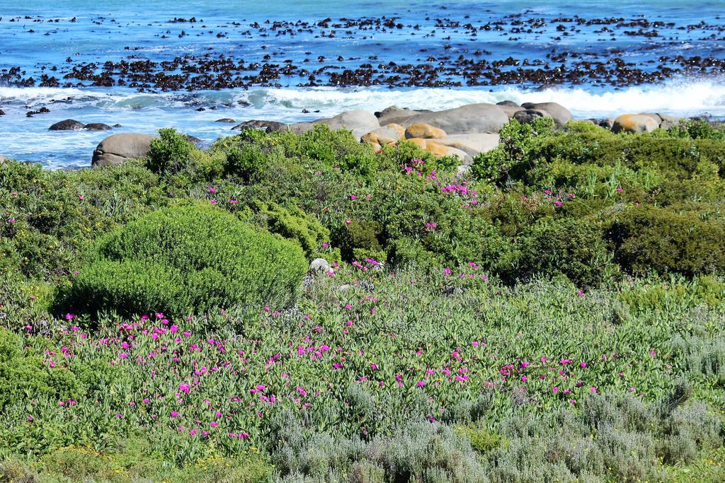 Baviana Beach Lodge - Jacobsbaai - Jacobs Bay Exterior foto