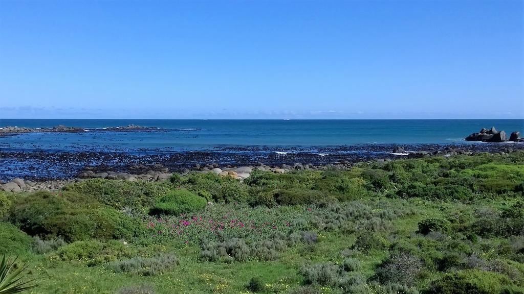 Baviana Beach Lodge - Jacobsbaai - Jacobs Bay Exterior foto